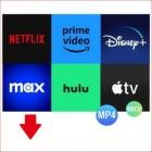 Pazu StreamGet All-In-One Video Downloader v2.2.0