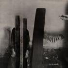 Trelldom - By the Word - 