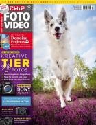 Chip Foto Video 12/2021