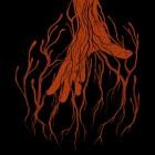 Moonstone - Age Of Mycology