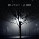 I Am Kloot - Sky At Night