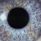 Dan Swanoe - Moontower