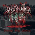 Insanity - From The Grave