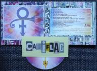 The Artist (Formerly Known As Prince) - The Beautiful Experience