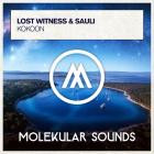 Lost Witness & Sauli - Kokoon