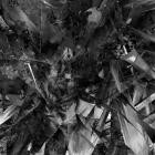 Ismael Pinkler - Ambientes 2009