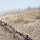 Vik Ho - At The Shore