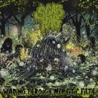 Scab Hag - Wading Through Mephitic Filth