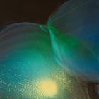 Kaan Pirecioglu - Breakpoint