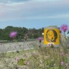 Negative Love-Negative Love-24BIT-44KHZ-WEB-FLAC-2026-FLACCiD