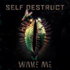 Wake Me - Self Destruct