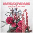 Mayday Parade - Blame It On The Youth