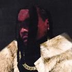 Wale-Everything Is A Lot-WEBUVU