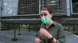 Terra.X.Faszination.Erde.Borneo.Zurueck.in.die.Wildnis.GERMAN.DOKU.HDTVRip.x264-TMSF