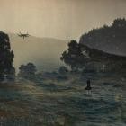 Ani Zakareishvili - Neither in the Sky nor on the Ground