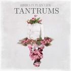 Hidden In Plain View-Tantrums-24BIT-WEB-FLAC-2022-FLACCiD
