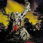 Real Farmer - Two Wrongs Don't Make A Right