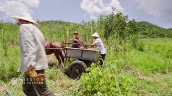 Mission.Job.Unknown.S01E03.Kuba.vs.Oesterreich.German.DOKU.WebRip.x264-ATAX