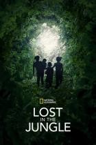 Lost.in.the.Jungle.40.Tage.ueberleben.2025.GERMAN.DL.DOKU.1080p.WEB.h264-HAXE