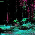 Pol-If You Were Real Pt 2- PLRD002 -16BIT-WEB-FLAC-2026-TR