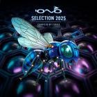 VA - Selection 2025 (Compiled By Cubixx)