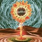 Boy Hits Car - Waves of Sound Across Oceans of Time