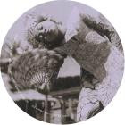 Adria Duch - Inner Peace EP