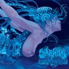 Gnarwhal - Lucid Machines