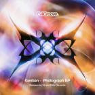 Gentian - Photograph