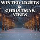 Winter Lights & Christmas Vibes