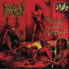 Cardiac Arrest - Haven For The Insane