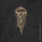 Midas Fall - Cold Waves Divide Us