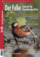 Der Falke - Journal fuer Vogelbeobachter 06/2026