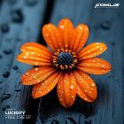 Lucidity - Free 2 Be EP