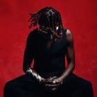 Veeko - HOUSE OF BIRDS