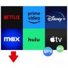 Pazu StreamGet All-In-One Video Downloader v2.9.2