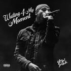 YSN Fab - Waiting 4 My Moment