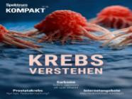 Spektrum Kompakt 07/2026