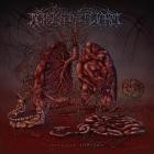 Across the Swarm - Invisible Threads