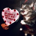 Instant Crush - I M SORRY I DIDN'T BITE MY TONGUE (Deluxe)