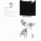 Life - Drifting In The Moonlight  It Became Even Louder Than Before