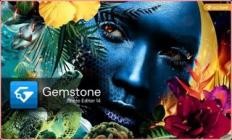 ACDSee Gemstone Photo Editor 14.0.0.1130 (x64)