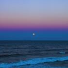 Martin Easten - Euphonia