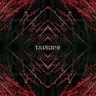 TAURIDS - Taurids