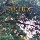 Eli Greenhoe - Orchids