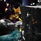 Allpa Puruma - Yamandu