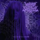 Worship the Sacrifice - Veil of Revelations