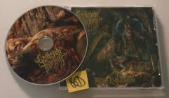 Legacy of Torment-Ritual Exsanguination- ISR079-25 -CD-FLAC-2025-86D