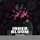 Fox & Badger - Inner Bloom