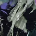 VA - Frenzy Various Artists IV